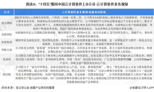 2021年云計算軟件行業(yè)上市公司全方位對比 業(yè)務布局、業(yè)績表現(xiàn)與未來戰(zhàn)略分析