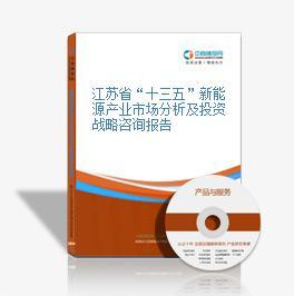 江蘇省“十三五”新能源產(chǎn)業(yè)市場分析及投資戰(zhàn)略咨詢報告